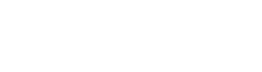 Adani